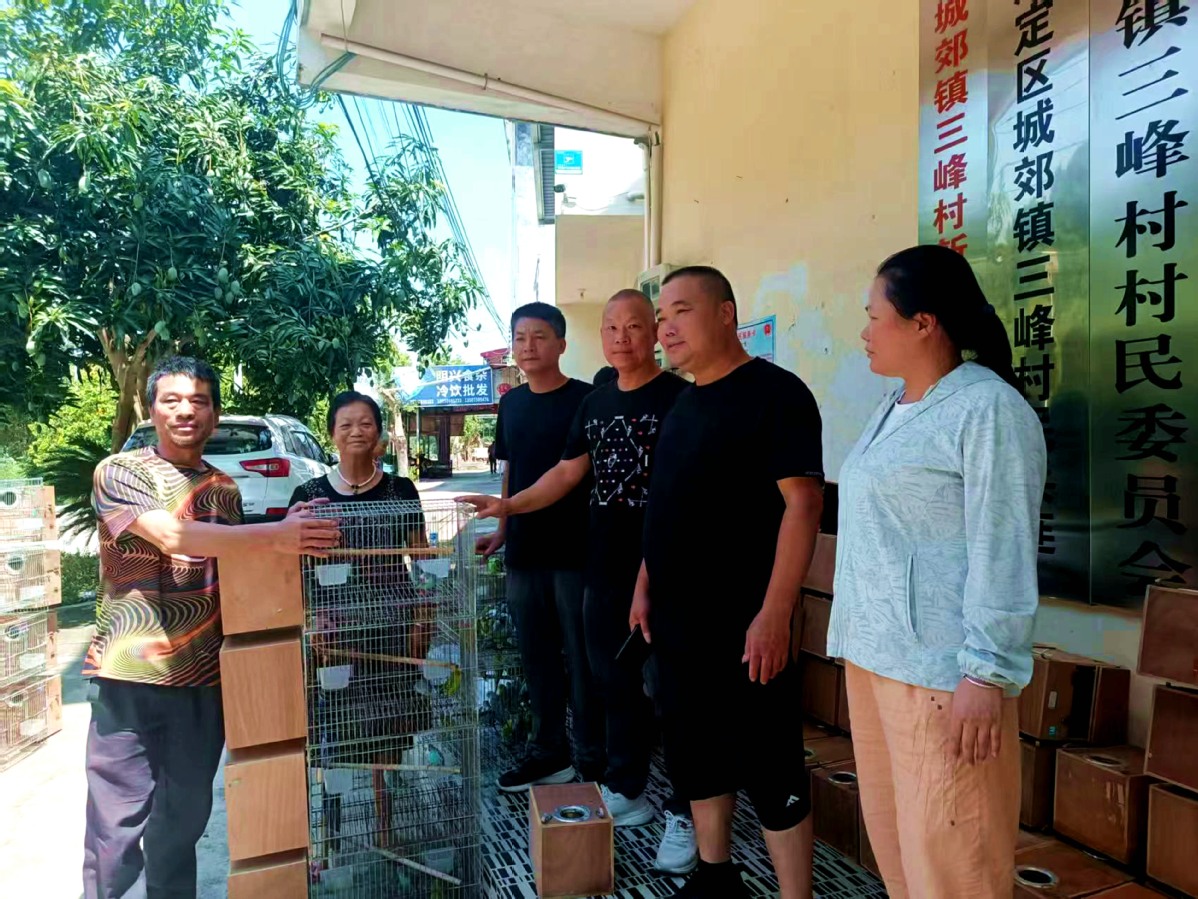 为脱贫户发放鹦鹉2